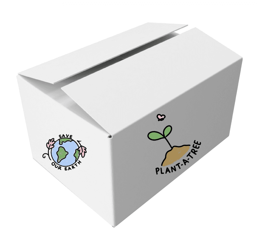 Hộp Carton In Offset