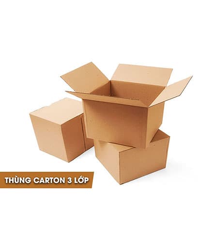 Thùng Carton Sóng 3 Lớp